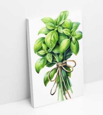 Basil Watercolor - Printed Canvas